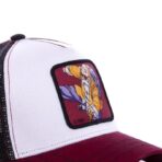 gorra dragon ball maestro roshi