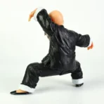 maestro roshi figura